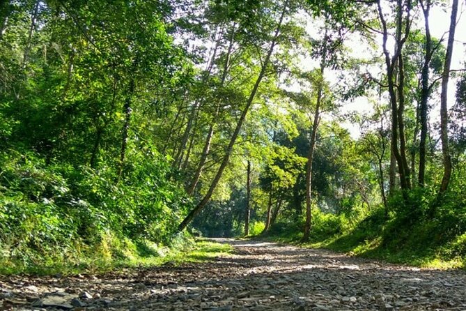 Manakamana Darshan- Day Tour - Should you book Manakamana Darshan?