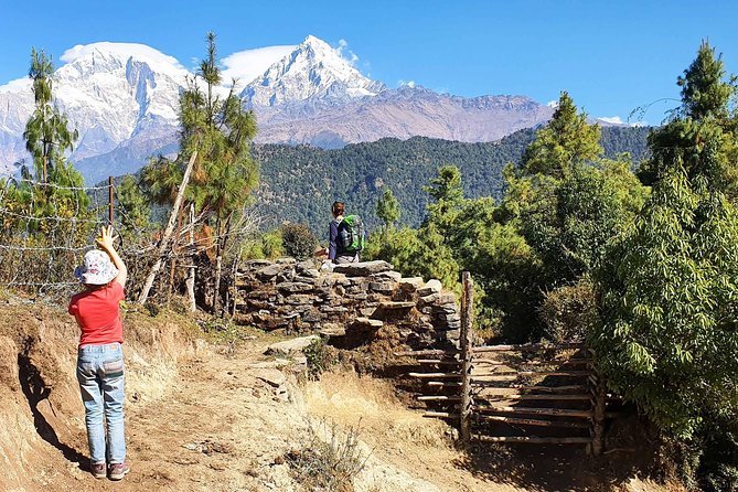 Mohare Danda Trek - Day 5: Nagi to Mohare Danda