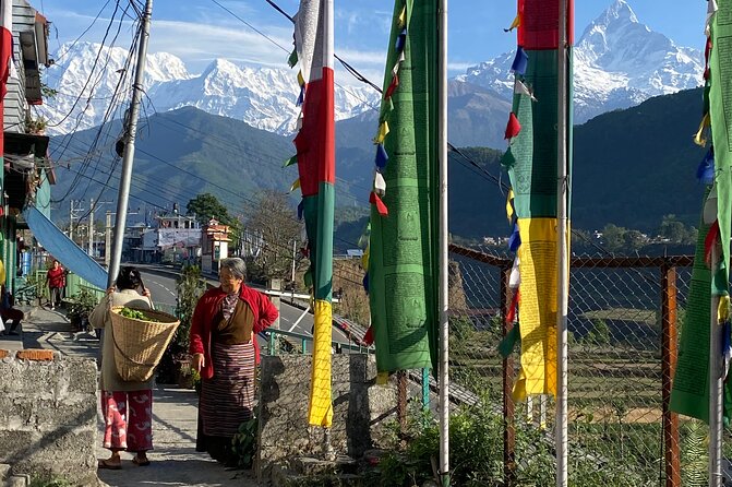 Morning Half Day Tibetan cultural tour to Tibetan Settlements - What the guide adds to the experience