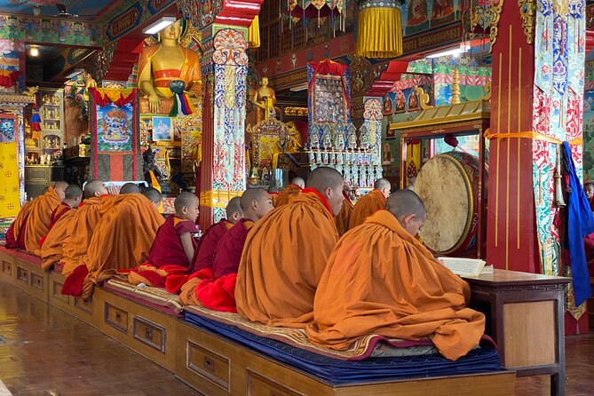Morning Tibetan cultural tour to Tibetan settlements Pokhara - Food, timing, and comfort
