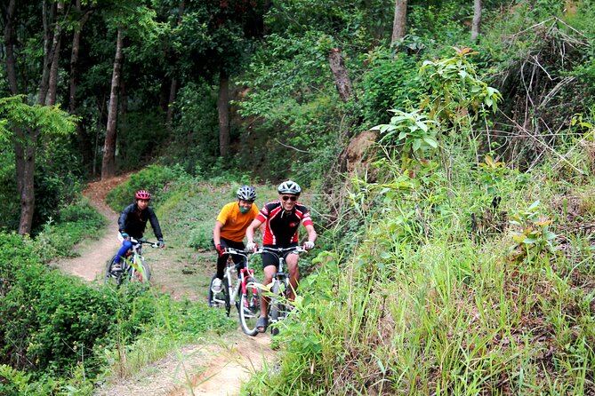 Mountain Bike Tour - The guide and private format