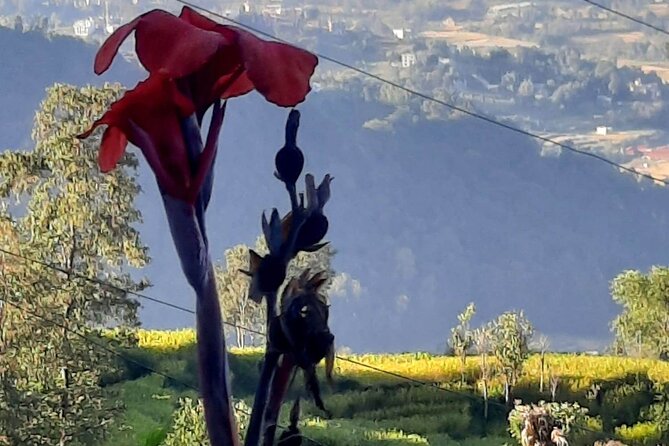Nagarkot (2175m) Sunrise and Day Hike to Changunarayan Temple - Sunrise over Langtang, Everest, and the central Himalaya