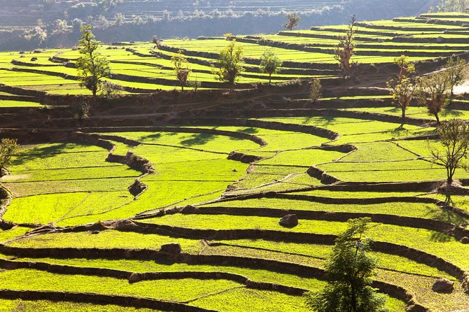 Namobuddha Monastery Hiking Day Tour via Panauti from Kathmandu - Why this Kathmandu day trip feels different