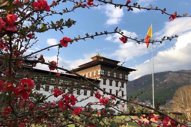 Nepal and Bhutan Tours - Day 3: From Nepal to Bhutan by Druk Air