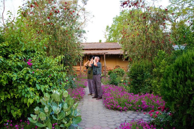 Nepal Birding - From Kathmandu streets to Himalayan forest