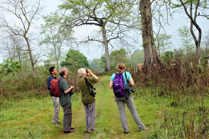 Nepal Birding - What the walking day may feel like