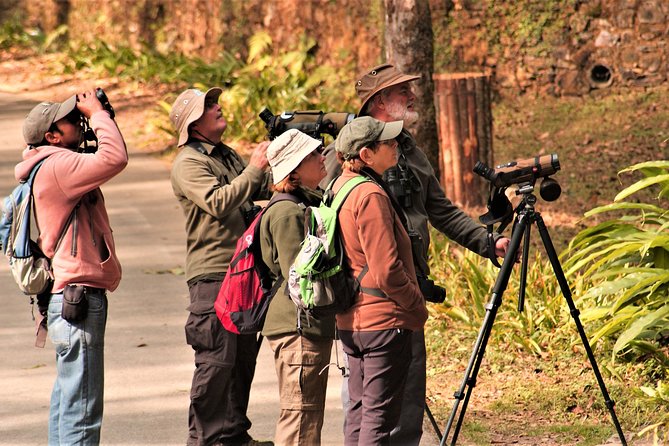 Nepal Birding - Who will enjoy this most