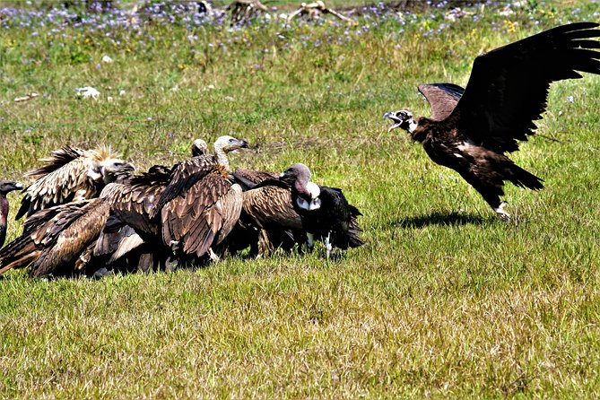 Nepal Birding - Booking details that matter