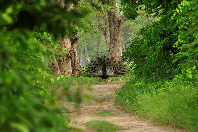 Nepal Classic Tour -12 Days - Bandipur offers an old Newari town setting