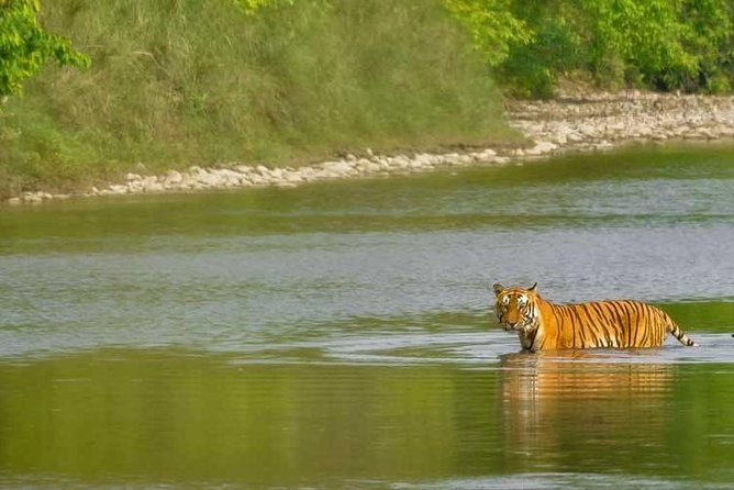 Nepal Classic Tour -12 Days - The return to Kathmandu includes Manakamana