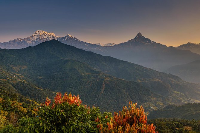 Nepal Cultural Highlights Tour in 10 Days - Day 1: A simple arrival in Thamel