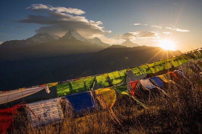 Nepal Cultural Highlights Tour in 10 Days - Day 5: Canoeing and wildlife along the Rapti River