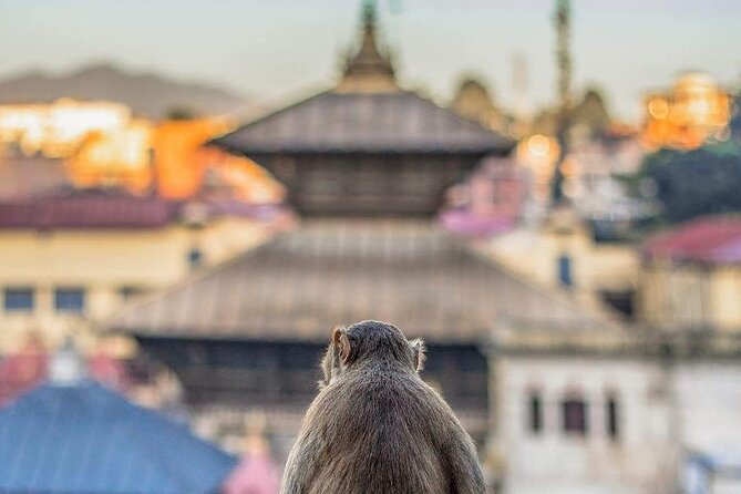 PashupatiNath and BoudhaNath - Private/Small Group - Guru Lhakhang and a working Buddhist monastery