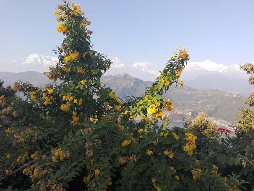 Peace & Panorama: Stupa and Pumdikot Scenic Drive Tour - Two viewpoints, two different kinds of atmosphere