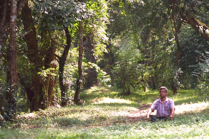 Pharping Asura Cave Meditation Tour - Leaving Kathmandu by private vehicle