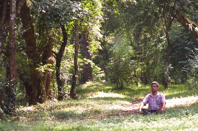 Pharping Asura Cave Meditation Tour - Who should book this experience?