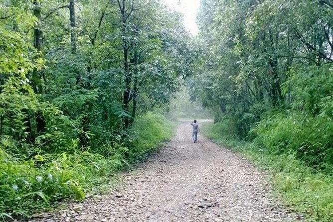 Phulchoki bird-watching tour - Why Phulchoki is one of Kathmandu’s best birding days