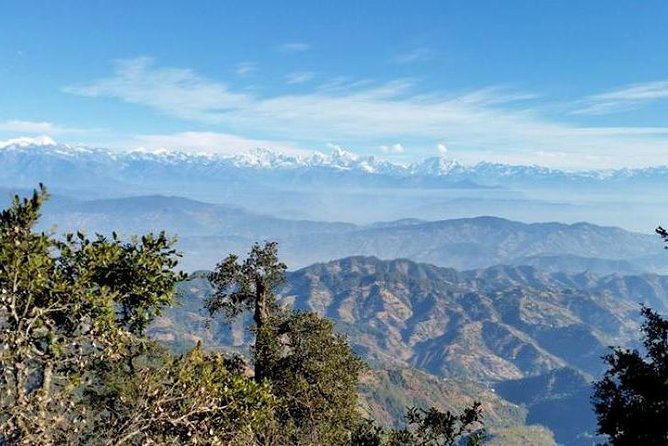 Phulchoki bird-watching tour - Birds you might find along the forest route
