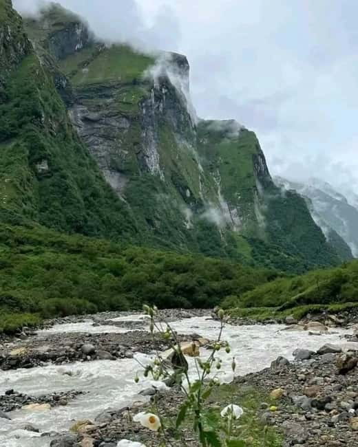 Pkr/Kathmandu: 5-Day Annapurna Base Camp & Hot spring Trek - Day 3: Machhapuchhre Base Camp to Annapurna Base Camp