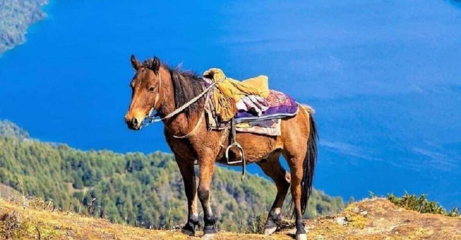 Pokhara: 1-Hour Horseback Ride with Hotel Pickup - Riding beside Phewa Lake in Pokhara