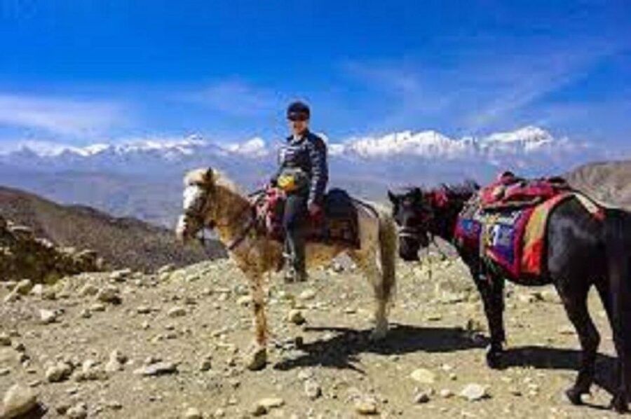 Pokhara: 1-Hour Horseback Ride with Hotel Pickup - Himalayan views and photo stops