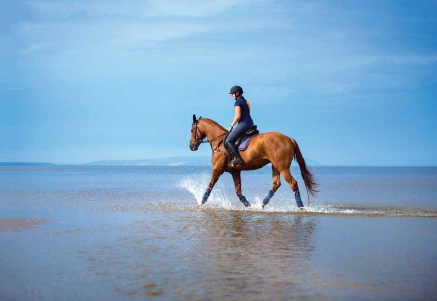 Pokhara: 1-Hour Horseback Ride with Hotel Pickup - Is $20 good value for this Pokhara activity?