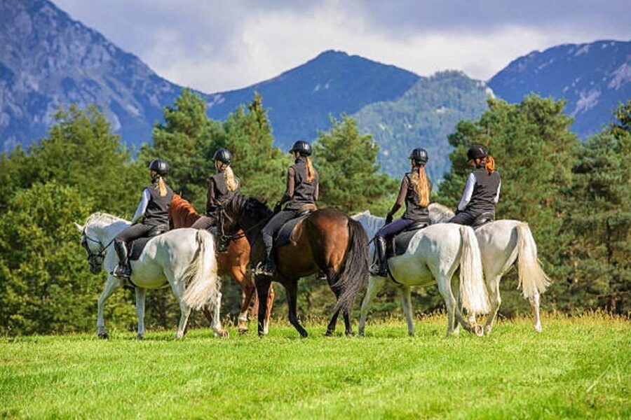 Pokhara: 1-Hour Horseback Ride with Hotel Pickup - Who should book this horseback ride?