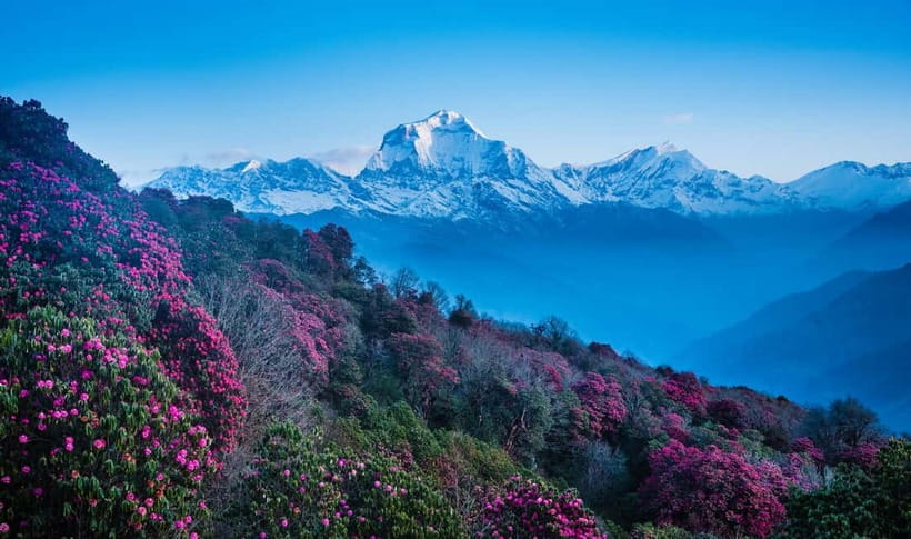 Pokhara: 2 & 3 Days Ghorepani Poon Hill Private Guided Trek - Who should choose two days, and who should choose three