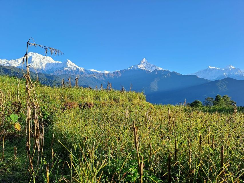 Pokhara: 2-Day Australian Camp & Dhampus Village Easy Hike - Key points to know before booking
