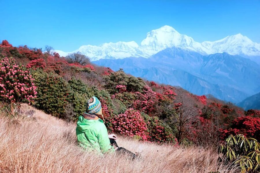 Pokhara: 2 Day Ghorepani & Poon Hill Private Trekking - The road from Pokhara to Tikhedhunga or Ulleri