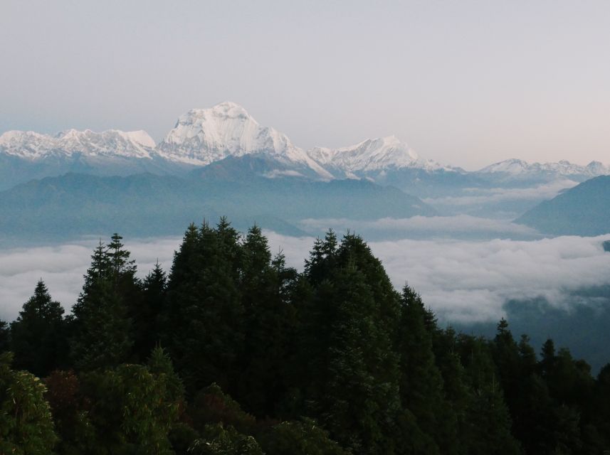 Pokhara: 3-Day Ghorepani and Poon Hill Trek - The guides make the difference
