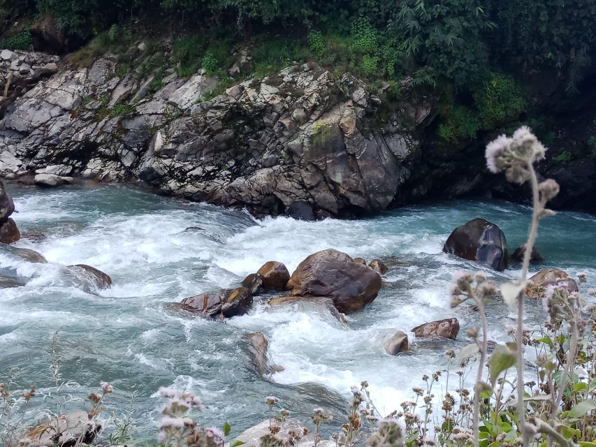 Pokhara: 3-Day Ghorepani, Poon Hill and Ghandruk Guided Trek - Day one: Pokhara to Ghorepani through Ulleri
