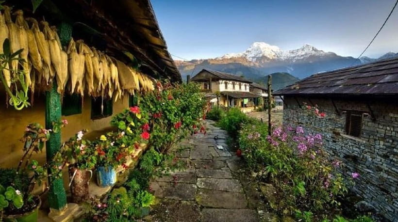 Pokhara: 3-Day Ghorepani, Poon Hill & Ghandruk Guided Trek - From Pokhara to Ulleri and the first steep climb