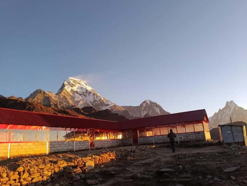 Pokhara: 3-Day Ghorephani and Poon Hill Private Trek - Day two: Ulleri to Ghorepani through the forest