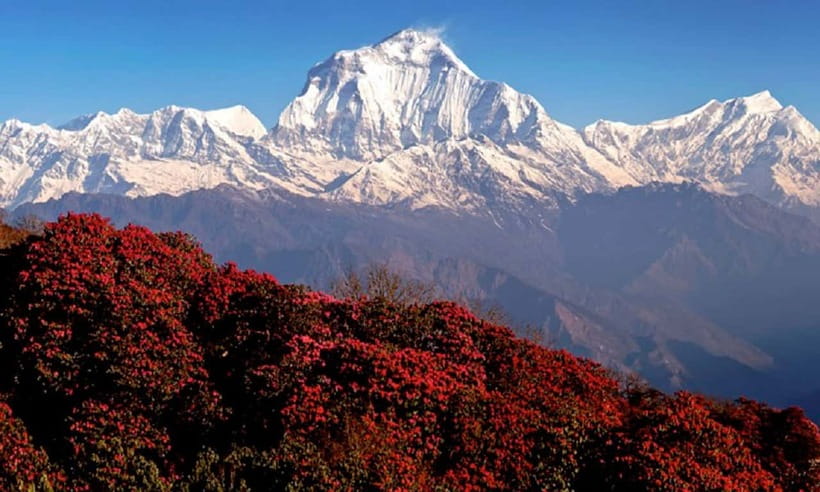 Pokhara: 3-Day Ghorephani and Poon Hill Private Trek - What the $126 price covers