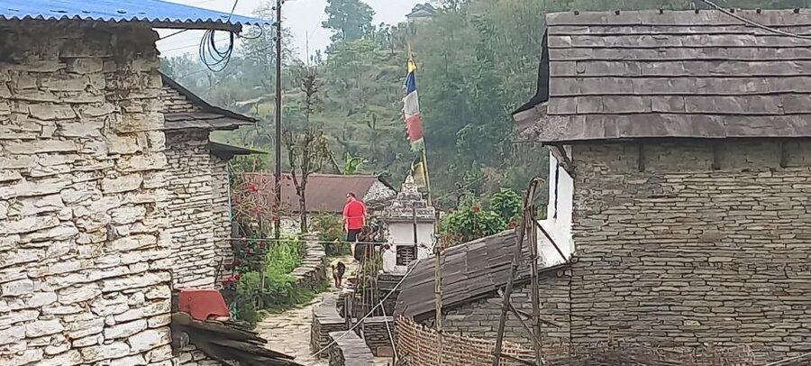 Pokhara: 3-Day Trek - Guide, porter, and the private format