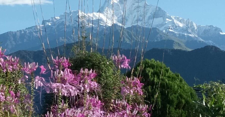 Pokhara: 3-Day Trek - Day 1: Naudanda to Dhampus, Pothana, and Australian Camp