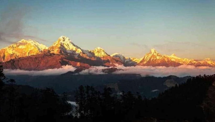 Pokhara: 3 days Trek to Poon hill - Day two: oak and rhododendron forest to Ghorepani