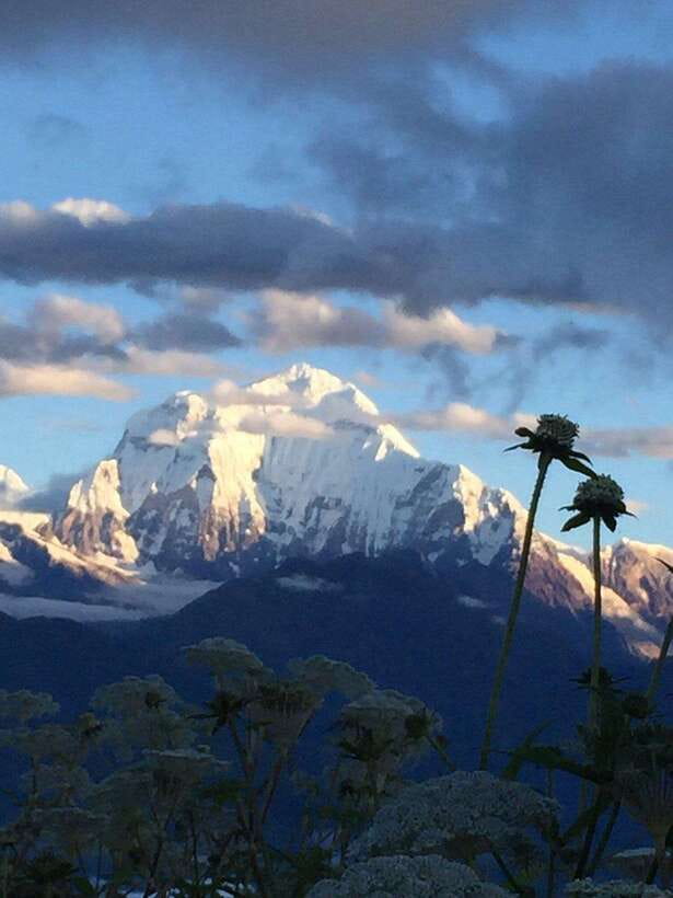 Pokhara: 3 days Trek to Poon hill - Returning to Nayapul and Pokhara