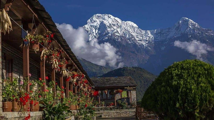 Pokhara: 4-Day Ghorepani, Poonhill & Ghandruk Mountain Trek - The guide makes a major difference