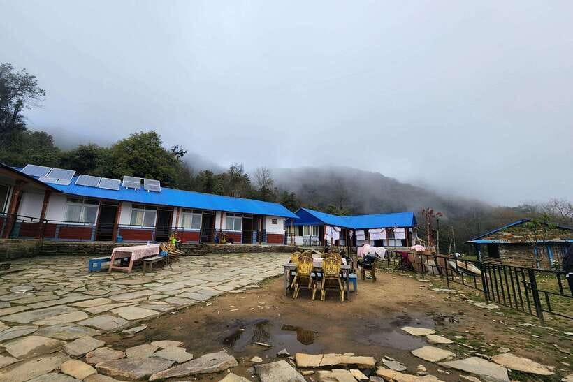 Pokhara: 4-Day Mardi Himal Trek - Day Four: Low Camp, Kalimati, and the Jeep to Pokhara