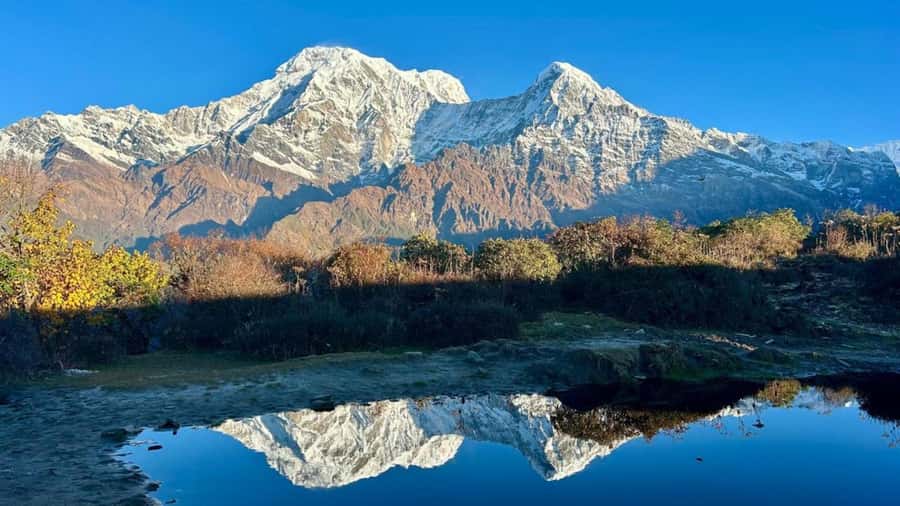 Pokhara: 4-Day Mesmerizing Mardi Himal Guided Trek - Day 3: The 4,300-meter sunrise viewpoint