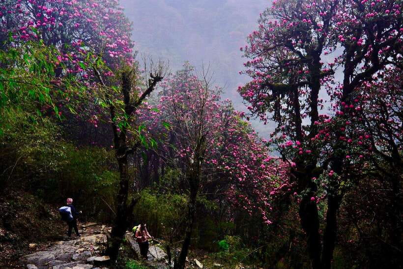 Pokhara: 4-Day Poon Hill and Ghandruk Guided Trek - What the $226 price covers, and where value depends on the package