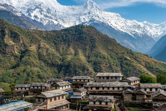 Pokhara: 4 Days Poon Hill and Ghandruk Trek - Day 3: Poon Hill sunrise and the descent to Ghandruk