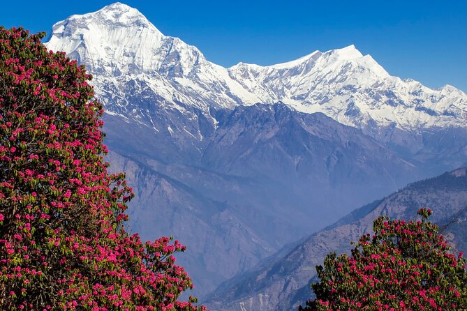 Pokhara: 4 Days Poon Hill and Ghandruk Trek - Who should choose this Poon Hill trek