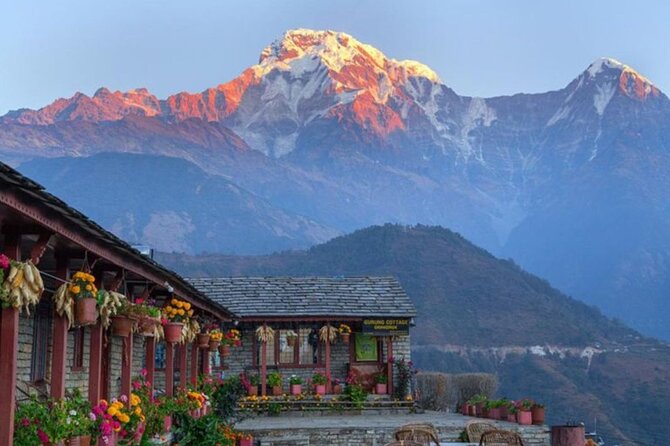 Pokhara: 4 Days Poon Hill and Ghandruk Trek - Day 2: Ulleri to Ghorepani through rhododendron forest