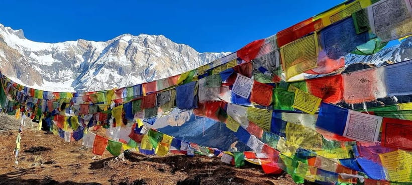 Pokhara: 5-Day Annapurna Base Camp Trek with Hot Spring - Guides, language, and the private format