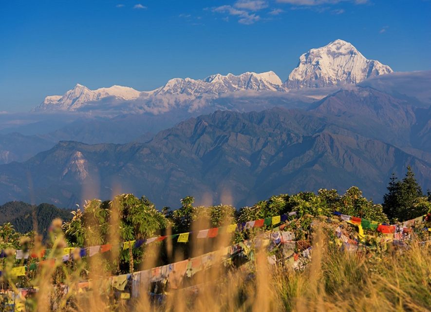 Pokhara: 5-Day Ghorepani and Poon Hill Private Trek - Day 3: Ghorepani to Poon Hill at 3,210 meters, then Tadapani at 2,610 meters