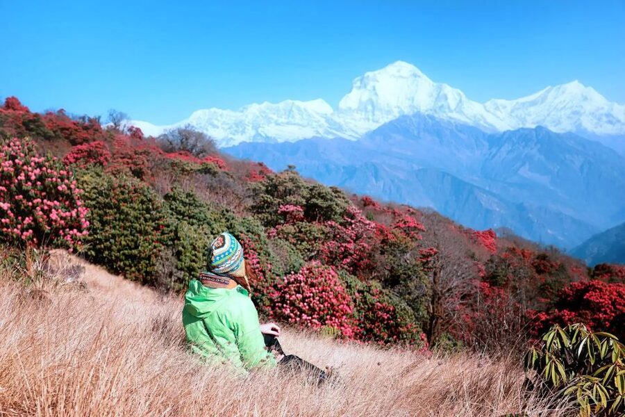 Pokhara: 5-Day Ghorepani and Poon Hill Private Trek - Day 4: Tadapani to Ghandruk at 1,940 meters
