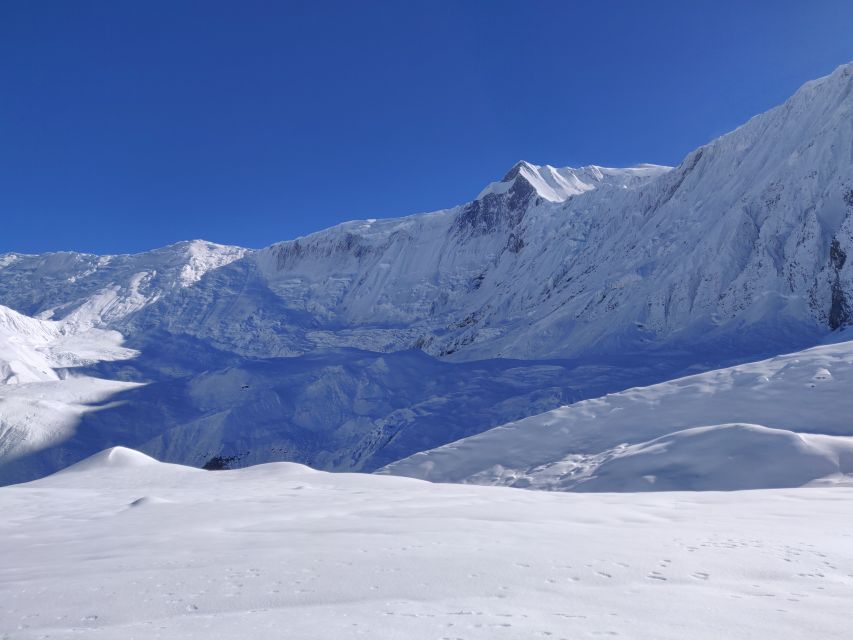 Pokhara: 7 Day Annapurna Base Camp Trek - Key points to know before booking